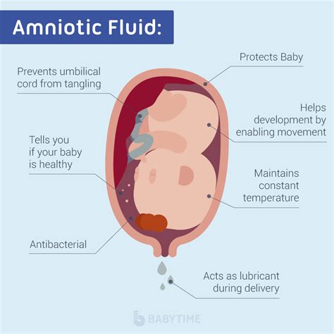 Discharge vs amniotic fluid